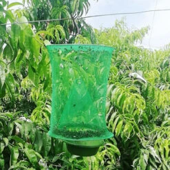 3PCS Trappola Per Mosche Con Vassoio Per Esche Gabbia Per Mosche Fly Catcher Riutilizzabile Per Ristoranti All'aperto Al Coperto Cortile Giardino Parco -Vendite VIDAXL 97904500 4