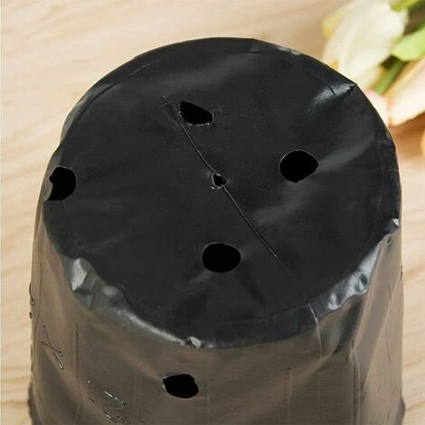 300pcs Vivaio Vasi Per Piante Principiante Degradabile Vaso Di Plastica Nutriente Giardino Vaso Di Fiori Attrezzo Da Giardino Per Piante Grasse Talee Piantine 12x12 Cm 4 300pcs Vivaio Vasi Per Piante Principiante Degradabile Vaso Di Plastica Nutriente Giardino Vaso Di Fiori Attrezzo Da Giardino Per Piante Grasse Talee Piantine 12x12 Cm - immagine 4