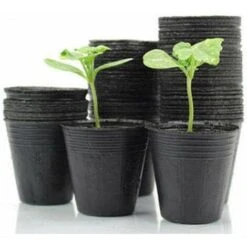 300pcs Vivaio Vasi Per Piante Principiante Degradabile Vaso Di Plastica Nutriente Giardino Vaso Di Fiori Attrezzo Da Giardino Per Piante Grasse Talee Piantine 12x12 Cm 9 300pcs Vivaio Vasi Per Piante Principiante Degradabile Vaso Di Plastica Nutriente Giardino Vaso Di Fiori Attrezzo Da Giardino Per Piante Grasse Talee Piantine 12x12 Cm -Vendite VIDAXL 98116329 5