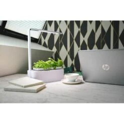 Interior Garden Viviana -Vendite VIDAXL 99470679 3