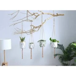 Cesto Appeso In Macrame, 3 Pezzi Cesto Appeso Per Piante In Corda Di Cotone Per Interni, Esterni, Soffitti, Balconi, Decorazioni Da Parete (48 Pollici) 9 Cesto Appeso In Macrame, 3 Pezzi Cesto Appeso Per Piante In Corda Di Cotone Per Interni, Esterni, Soffitti, Balconi, Decorazioni Da Parete (48 Pollici) -Vendite VIDAXL 99782525 5